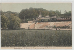 MONTGERON - Le Chemin De Fer Pris Au Passage Du Pont Des Vaches - Montgeron