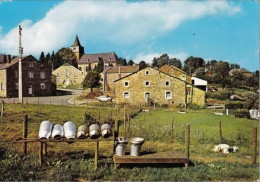 DOCHAMPS (Manhay) - Fond Du Village - Oblitération De 1972 - Manhay