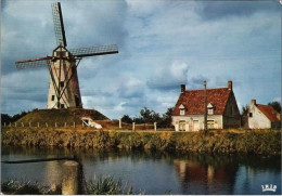 DAMME - De Molen - N'a Pas Circulé - Damme