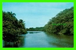 HIGUEY, RÉPUBLIQUE DOMINICAINE - LA YEGUADA RIVER, MICHES - LIBRERIA TONY - - Dominicaanse Republiek