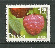 POLAND MNH **  4261 Flore Fruit Framboise - Neufs