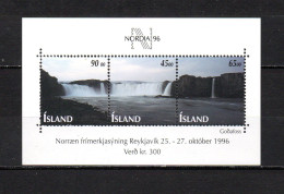 Islandia   1996   .-   Y&T  Nº   19   Block    ** - Blocks & Sheetlets