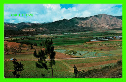 LA VEGA, RÉPUBLIQUE DOMINICAINE - CONSTANZA VALLEY - LIBRERIA TONY - - Dominikanische Rep.