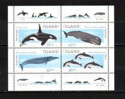 Islandia   1999   .-   Y&T  Nº   23   Block    ** - Blocks & Sheetlets