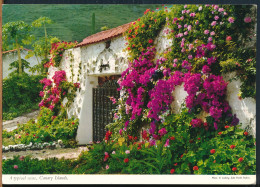 °°° 4937 - SPAIN - A TYPICAL SCENE , CANARY ISLANDS °°° - Sonstige & Ohne Zuordnung