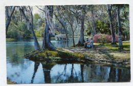 AK 134552 USA - Florida - Silver Springs - Along Silver River - Silver Springs