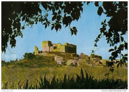 Carte Postale 04 - Greoux Les Bains - Le Chateau Des Templiers Trés Beau Plan - Gréoux-les-Bains