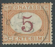 1890-94 REGNO SEGNATASSE USATO 5 CENT - P13 - Segnatasse