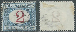 1903 REGNO SEGNATASSE USATO 2 LIRE - P13-7 - Taxe