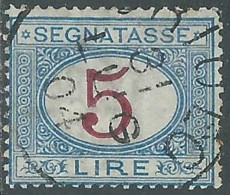 1903 REGNO SEGNATASSE USATO 5 LIRE - P13-7 - Taxe