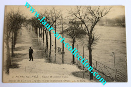CPA 75 INONDATION PARIS JANVIER 1910 ILE DES CYGNES ANCIENNE CARTE POSTALE ANIMÉE GRANDE CRUE DE LA SEINE (1505.11) - Überschwemmungen