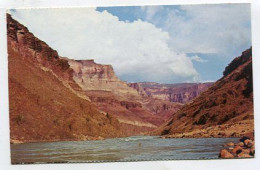 AK 134602 USA - Arizona - Grand Canyon National Park - Colorado River - Gran Cañon