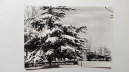 FOLIGNO (Perugia) - 1957 - Parco Comunale Del Canapè Con La Neve - Foligno