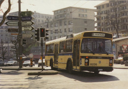 Carte Postale Tram Tramways Bus Ex Bruxelles 8226 Lausanne Suisse Van Hool - Strassenbahnen