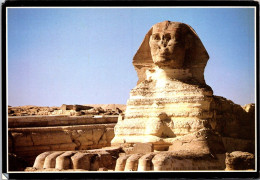 (1 R 12) Egypt (17 X 12 Cm) - Sphinx (posted To France - No Postmark !) - Sphynx