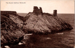 Ireland Wicklow The Black Castle - Wicklow