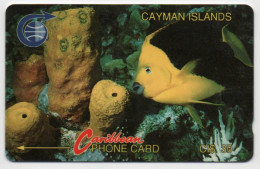 Cayman Islands - Fish & Coral - 1CCID - Kaaimaneilanden