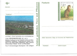 2323f: Bildpostkarte Mit Werteindruck Ziesel: 3071 Böheimkirchen Ungelaufen (Versand In Schutzhülle) - St. Pölten