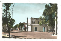 Cp , Algérie, COLOMB-BECHAR, Avenue POINCARE, Café-bar VIGNAUD, Vierge, Ed. A. Sirecky - Bechar (Colomb Béchar)