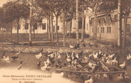 CPA ESPAGNE CALDAS DE MALAVELLA GRAN BALNEARIO VICHY CATALAN GALLINERO - Sonstige & Ohne Zuordnung