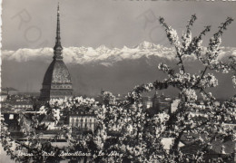 CARTOLINA  TORINO,PIEMONTE-MOLE ANTONELLIANO "LE ALPI"-STORIA,MEMORIA,CULTURA,IMPERO ROMANO,BELLA ITALIA,VIAGGIATA 1954 - Mole Antonelliana