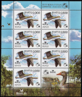 2009 Belarus Bird Of The Year: Greylag Goose Sheetlet (** / MNH / UMM) - Ganzen