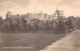 ANGLETERRE - LONDON - Windsor Castle From Home Park - Carte Postale Ancienne - Other & Unclassified