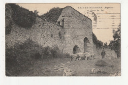 SAINTE SUZANNE - LA PORTE DE FER - 53 - Sainte Suzanne