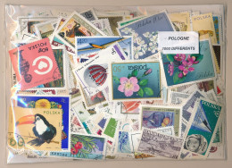  Offer - Lot Stamps - Paqueteria  Polonia 1000 Sellos Diferentes           - Lots & Kiloware (mixtures) - Min. 1000 Stamps