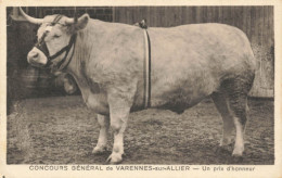 03 Concours De Varennes Sur Allier  Theme Boucherie Boucher Boeuf - Other & Unclassified