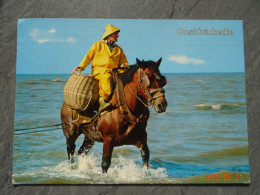 GARNAALVISSER TE PAARD TE OOSTDUINKERKE - Oostduinkerke