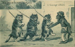 CHATS HUMANISES Gaufrée  TBE  " L'exercice Militaire "  ( K.F édit ) - Animales Vestidos