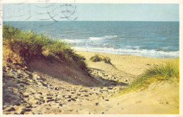 BELGIQUE - Dunes Et Mer - Carte Postale Ancienne - Autres & Non Classés