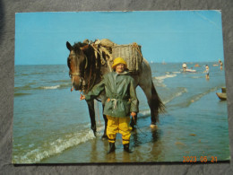 GARNAALVISSER TE PAARD TE OOSTDUINKERKE - Oostduinkerke