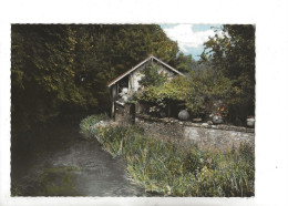 Mauzé-sur-le-Mignon (79) : Maison Sur Les Bords Du Mignon En 1960 GF. - Mauze Sur Le Mignon