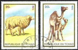 Chad 1973 - Mi 669/70 - YT 290C/D ( Fauna : Sheep & Dromedary ) - Tchad (1960-...)