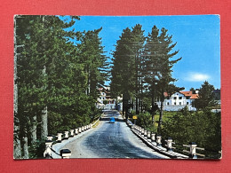 Delcampe - Cartolina - Bellezze Di Calabria Sila - Camigliatello Silano ( Cosenza ) - 1969 - Cosenza