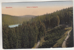 C8762) OBERHARZ - Partie Im Spiegeltal - ALT - Oberharz