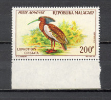 MADAGASCAR  PA  N° 91   NEUF SANS CHARNIERE  COTE 10.00€    OISEAUX ANIMAUX - Madagascar (1960-...)