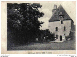 Carte Postale 28. Sorel Prés Boissy-lez-Perche Le Chateau Trés Beau Plan - Sorel-Moussel