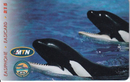 TARJETA DE SUDAFRICA DE UNA ORCA (WHALE) - Other & Unclassified