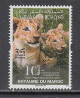 2022 Morocco Maroc Rabat Zoo Lions Cats  Complete Set Of 1  MNH - Maroc (1956-...)