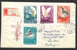 EGRETS, SPOONBILLS, HERONS, BIRDS, REGISTERED COVER FDC, 1959, HUNGARY BAJA TO PORTUGAL  - Storchenvögel