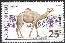 Chad 1972 - Mi 592A - YT 265 ( Fauna : Dromedary ) - Tchad (1960-...)