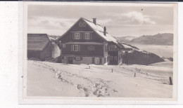 ALP SCHEIDEGG WALD - Wald