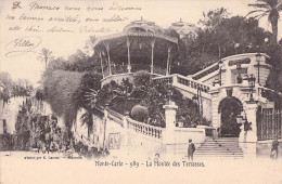 MONACO MONTE CARLO LA MONTEE DES TERRASSES 1903 - Haven