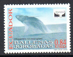 Equateur Ecuador 1506 Baleine à Bosse - Antarctische Fauna