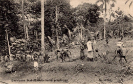 S. SÃO TOMÉ - Seviçais Trabalhando Numa Plantação - Sao Tome And Principe