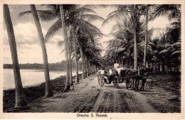 S. SÃO TOMÉ - Orecho - Sao Tome Et Principe