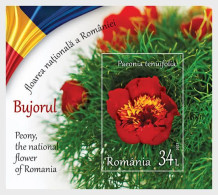 Romania / Roemenië - Postfris / MNH - Sheet National Flower 2023 - Unused Stamps
